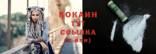 гашик Белоозёрский